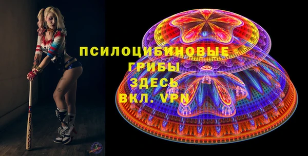 соль ск Алексеевка