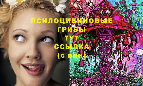 соль ск Алексеевка