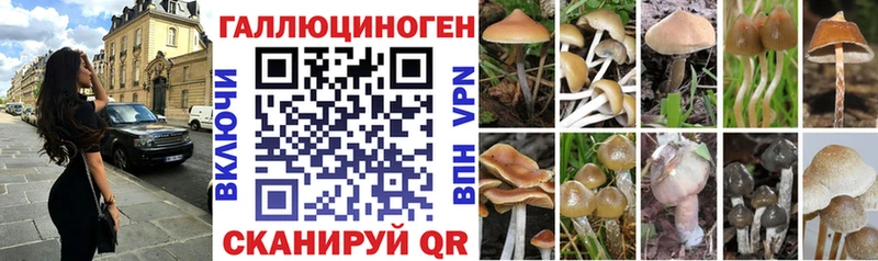 купить наркоту  Нолинск  Псилоцибиновые грибы Magic Shrooms 
